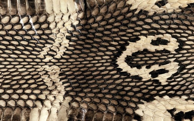 Чешуя королевской кобры