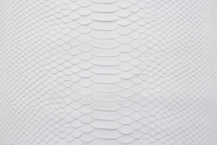 Змеиная чешуя питон