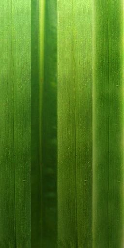 Стебель текстура бесшовная