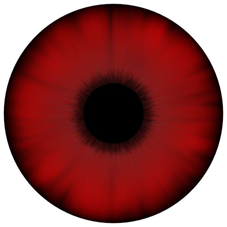 Глаз без заднего фона