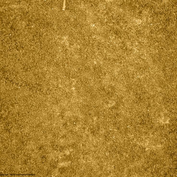 стебля розы