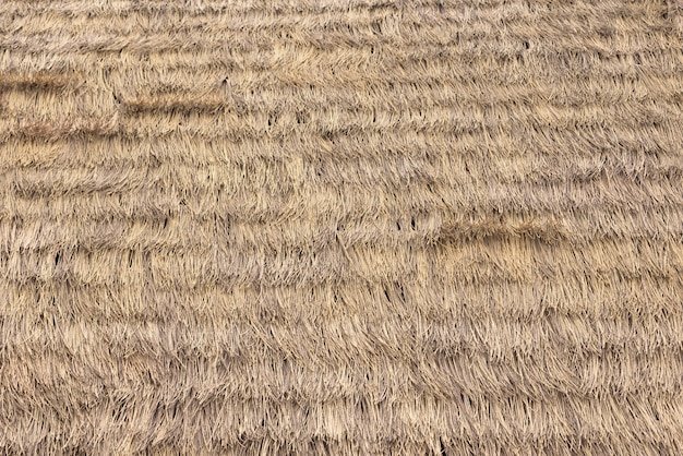 Крыша из соломы текстура