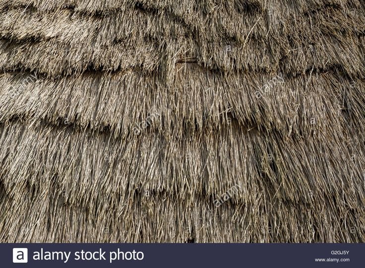 Текстура соломы для крыши