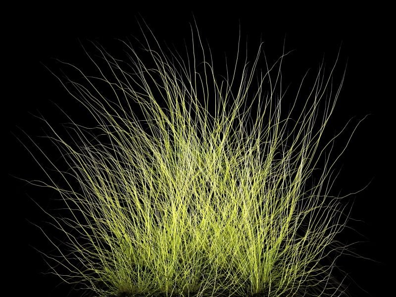 Текстура травы для Юнити 3д