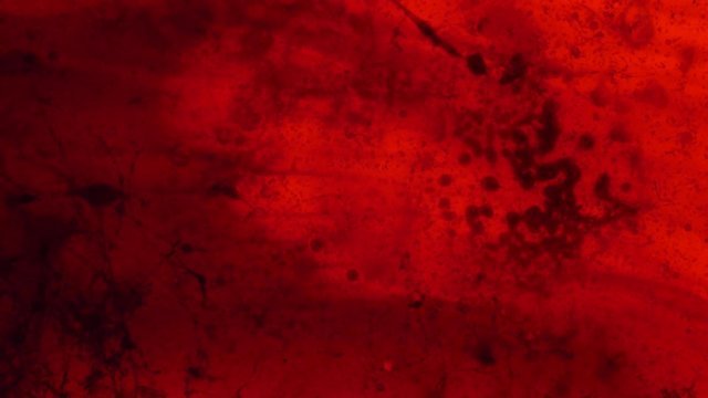 Красный фон