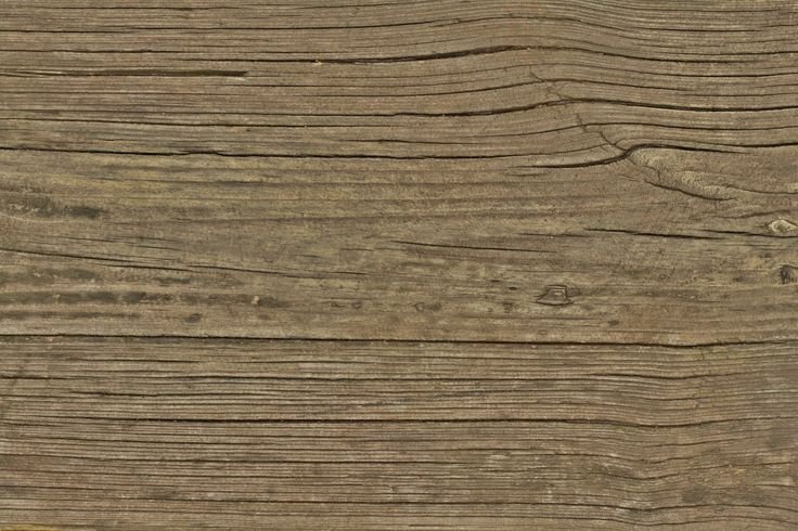 Текстура дерева