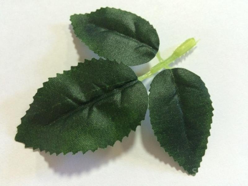 Листок розы