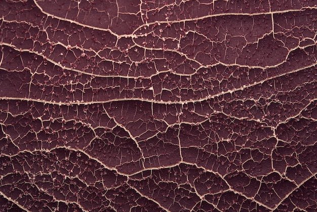 Старая кожа текстура