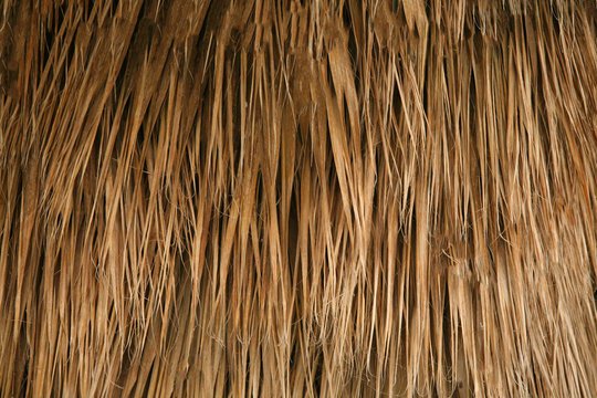 Соломенная крыша текстура