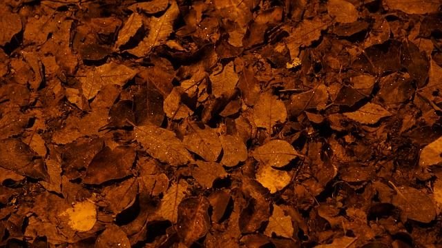 Почва текстура