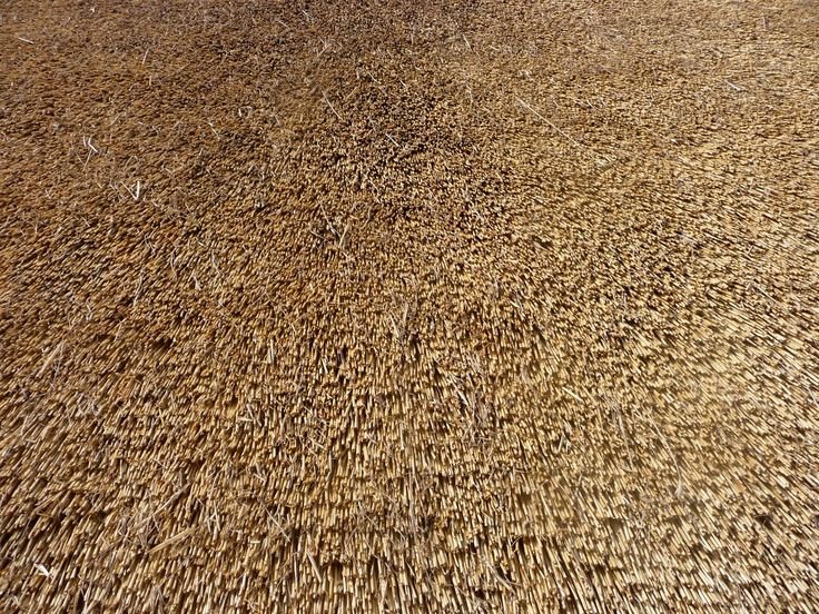 Соломенная крыша текстура