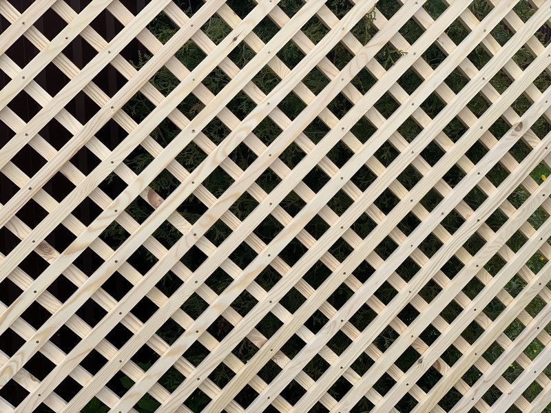 Решетка декоративная сосна 100*100 "шпалера"