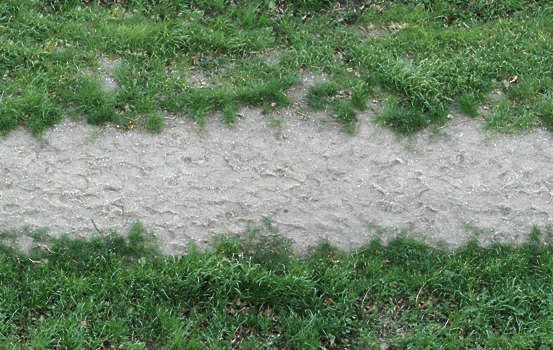 Текстура земли с травой