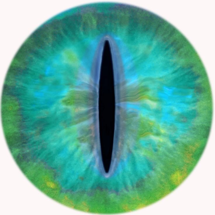 Вертикальный зрачок