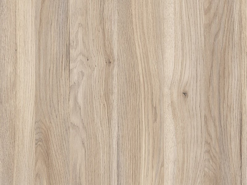 Дуб Мария u1155