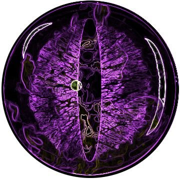 Фиолетовый глаз дракона