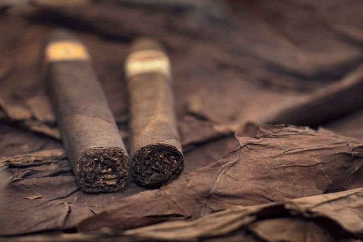 Листья сигары