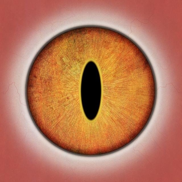 Радужка глаза кошки