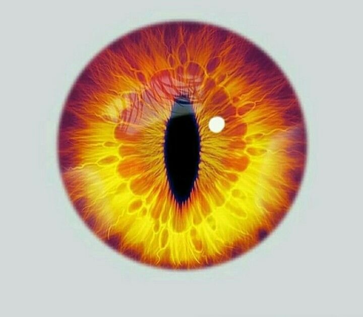 Зрачок дракона