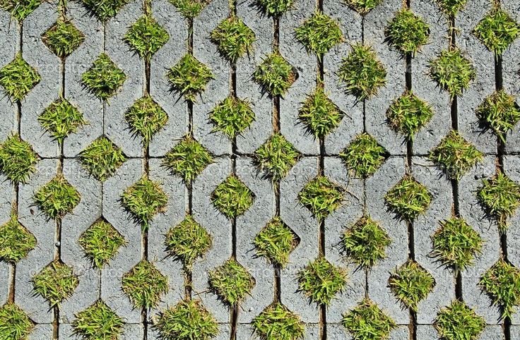 Экопарковка газонная