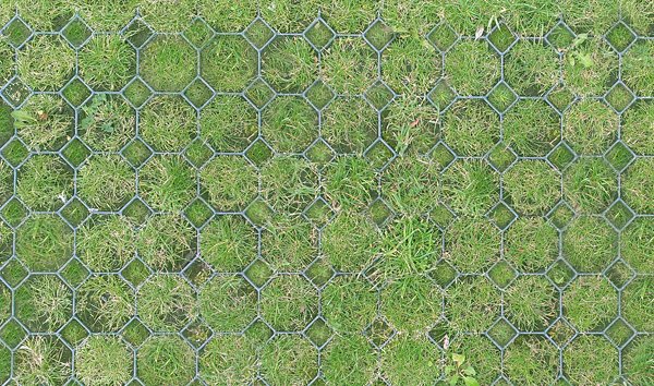 Экопарковка текстура бесшовная