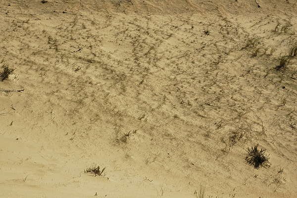 Песчаный грунт текстура