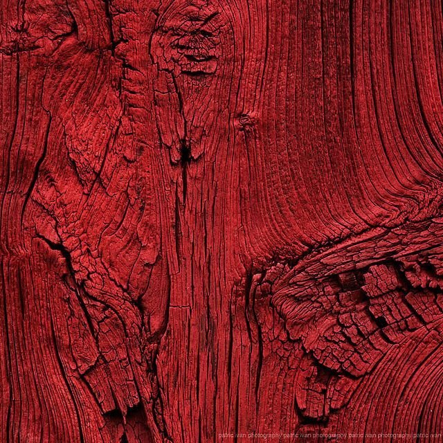 Фактура дерева