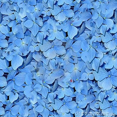 Текстура с синими цветами