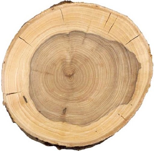 Лиственница ядровая древесина