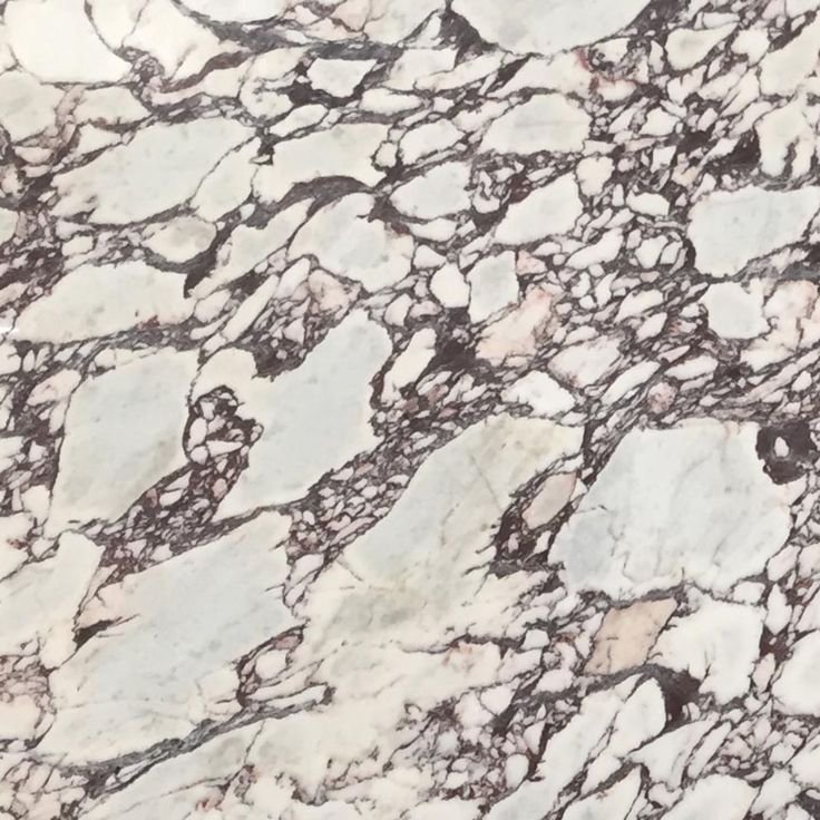 Калакатта Виола