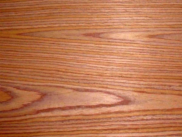 Шпон карагач вяз