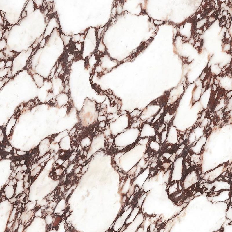 Калакатта Виола