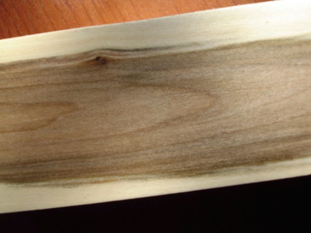 Древесина черемухи