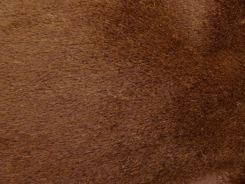 Коричневая шерсть