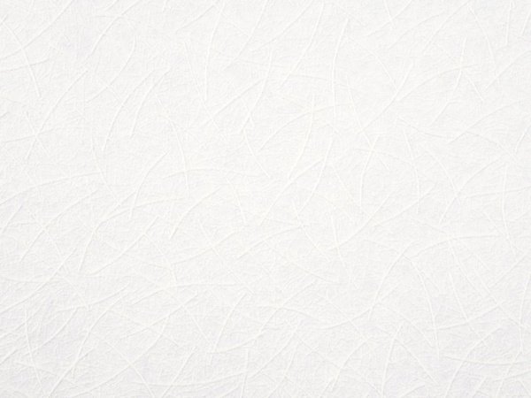 Белый фон текстура