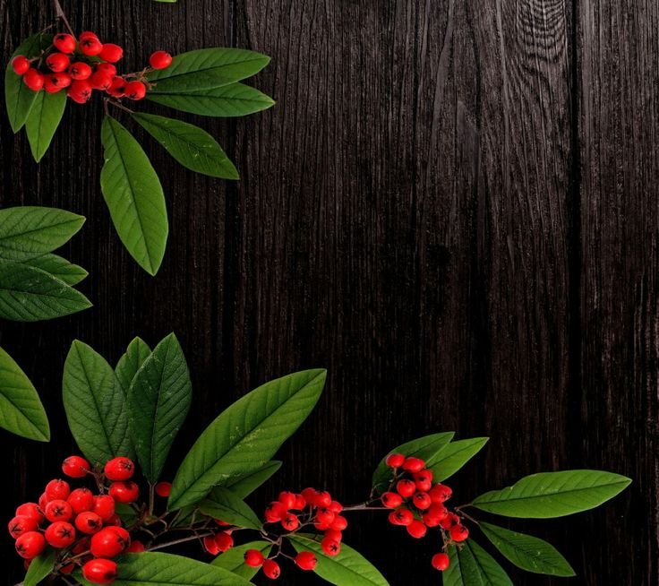 Цветы на деревянном фоне