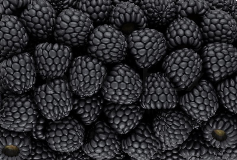 Черная ежевика