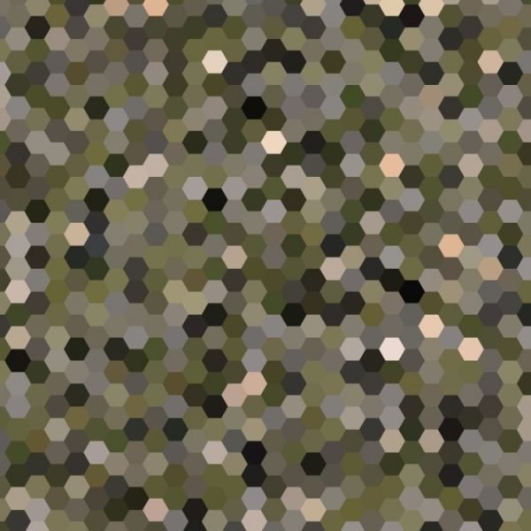 Гексагон Камо