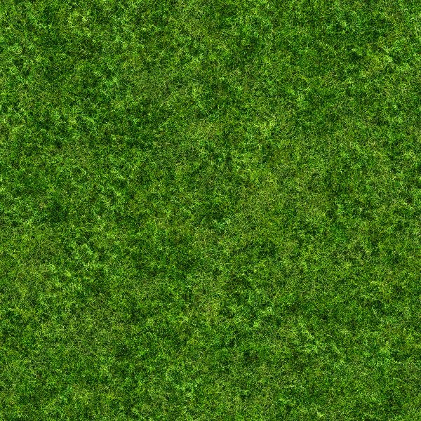 Текстура травы
