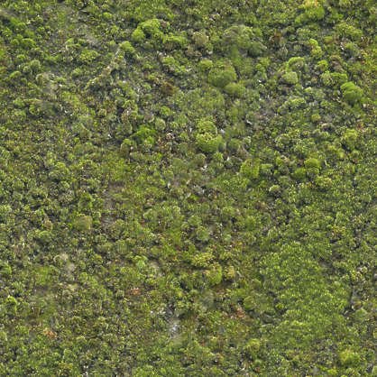 Текстура камня с мхом