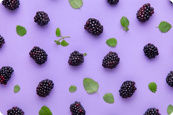 Ежевика Смутстен