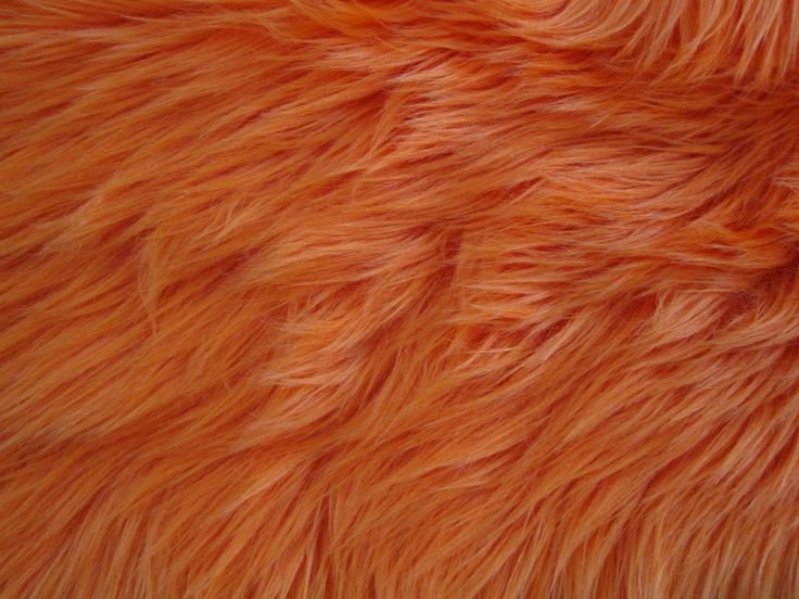 Шерсть лисы