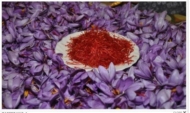 Крокус приправа Шафран