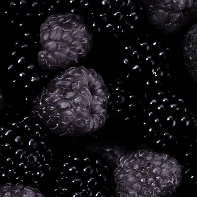 Ежевика Чачанска Бестрна