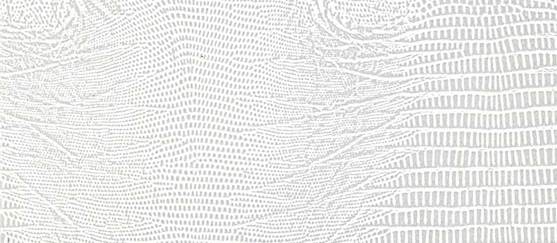 белая крокодиловая кожа