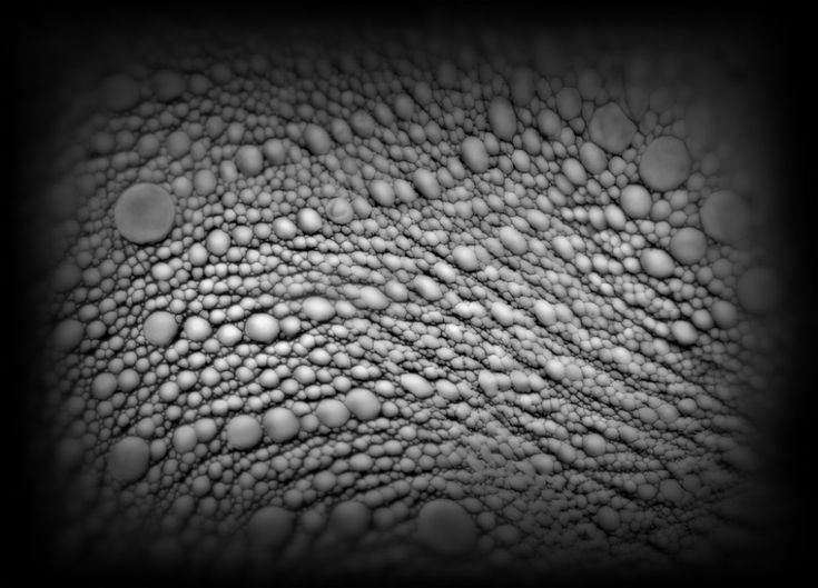 Альфа чешуя Zbrush