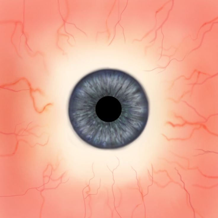 Текстура глазного яблока