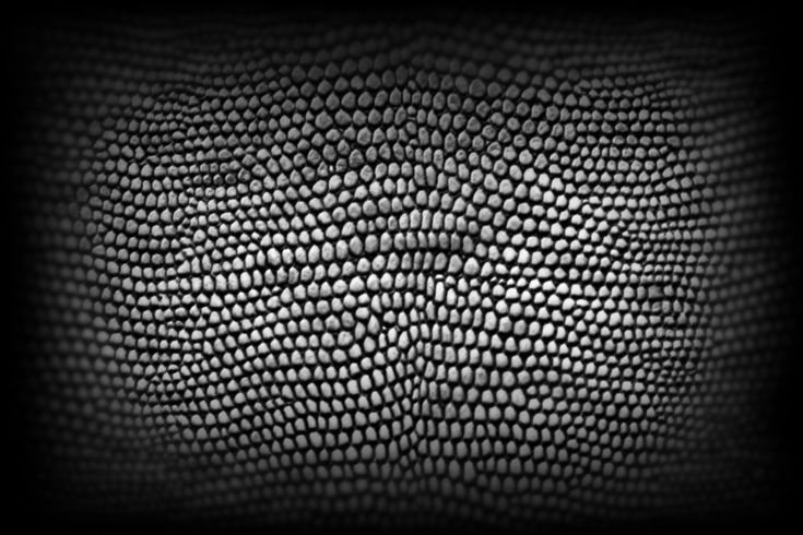 Альфа чешуя Zbrush