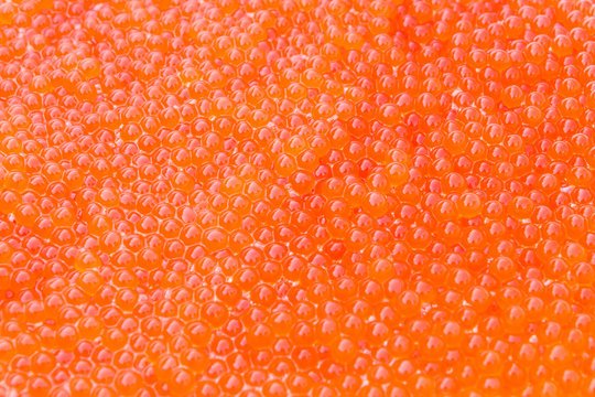 Красная икра текстура