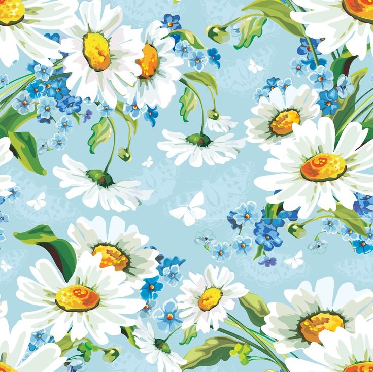 Фон ромашки